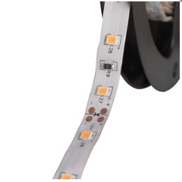 Kanlux Professional 5m LED Strip - Free Power Supply