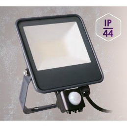 Premium Quality iQ-FL 30w Floodlight With Sensor