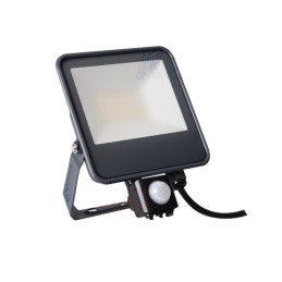 Premium Quality iQ-FL 30w Floodlight With Sensor