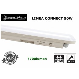 LIMEA CONNECT 50W